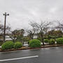 雨だけど小田原までドライブ
