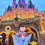 ディズニーランドに行った孫