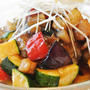 夏野菜のソースかけハンバーグ山椒風味