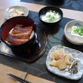鰻丼で簡単晩ご飯　と　ヨウムの「ヨウスケ」とアオボウシインコの「ラッキー」の休日♪