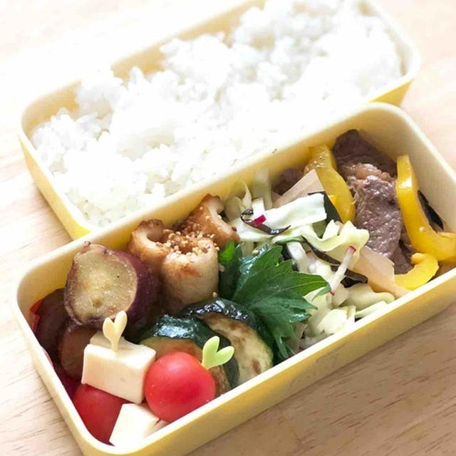 【  JK一人分のお弁当 】