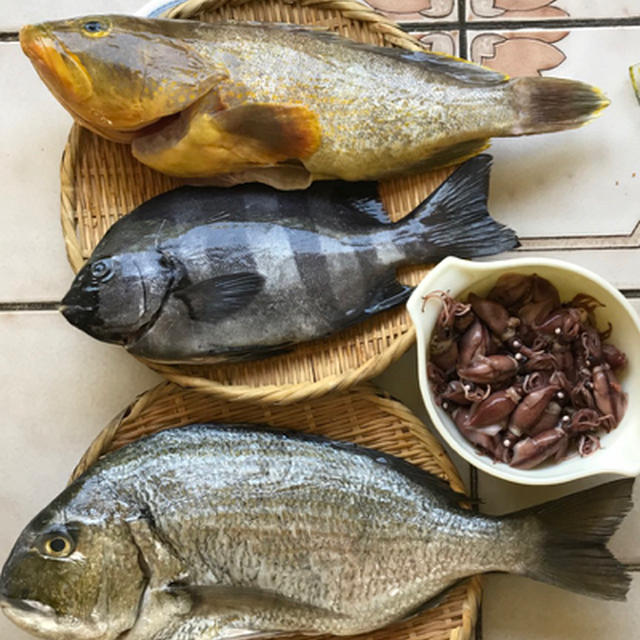 5月のお魚取り寄せ便 黄ハタ ホタルイカ By Mchappykunさん レシピブログ 料理ブログのレシピ満載