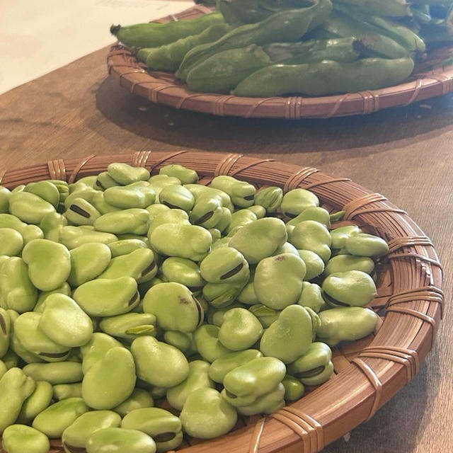 発酵のある暮らし｜豆板醤を料理教室で仕込んで、無印の瓶で育ててます