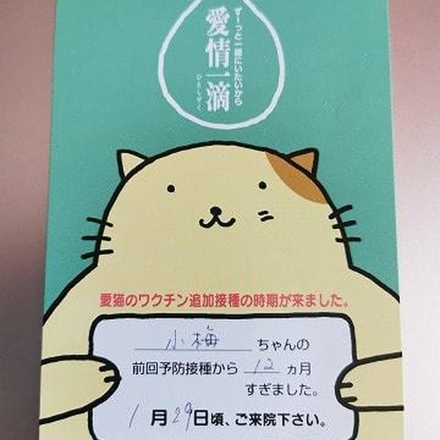 動物病院から召喚状を貰い…