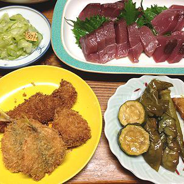 豆鯵のフライ。夏野菜の揚げ浸し。涼むにゃんこ