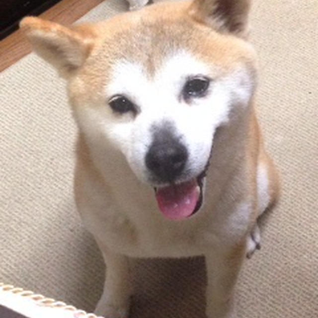 移動の前に♪