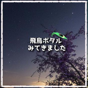 心を打つ幻想的な世界