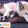 どんだけ連投すんねん(笑)こんばんわ～ 今日は朝からお水のんでも胃がちぎれそうに痛くて、...
