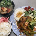 豚肉のケチャップ炒め
