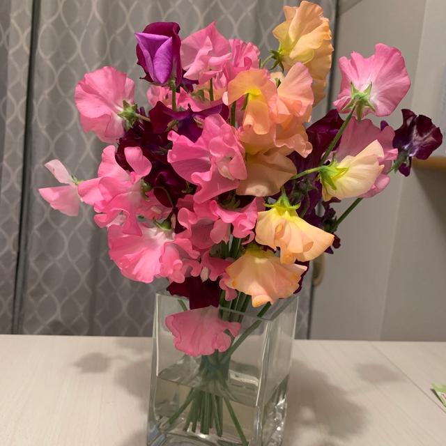 ２月１３日