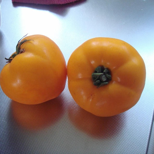 黄色い桃太郎トマトとイカのマリネ。