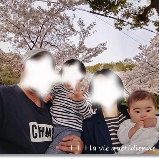 涙が出るほど嬉しかった事と王子と英語遊びからの家族で動物園＆お花見