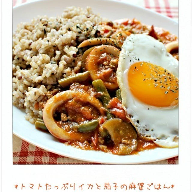 ☆トマトたっぷりイカと茄子の麻婆ごはん / 26日の朝ごはん☆