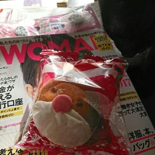 セブンイレブン限定の日経WOMANとスマホレンズとサンタドーナツ♪