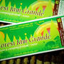『Forest Jam Grande』にちょこっと出店します☆