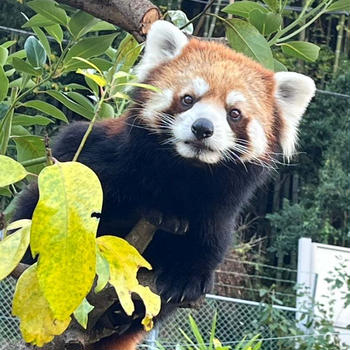 動物園で癒されたけど疲れましたぁ〜