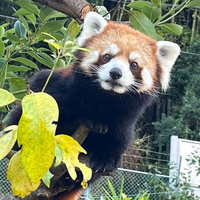 動物園で癒されたけど疲れましたぁ〜