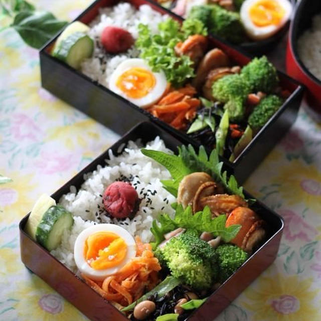 男子ごはんと女子ごはん　☆　お弁当と晩ご飯♪