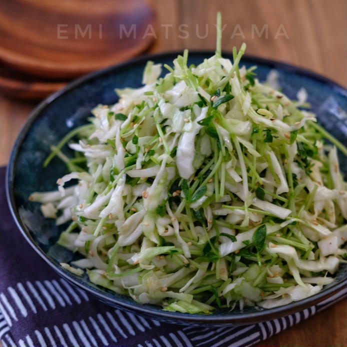 青い皿に高く盛られたキャベツと豆苗のナムルサラダ