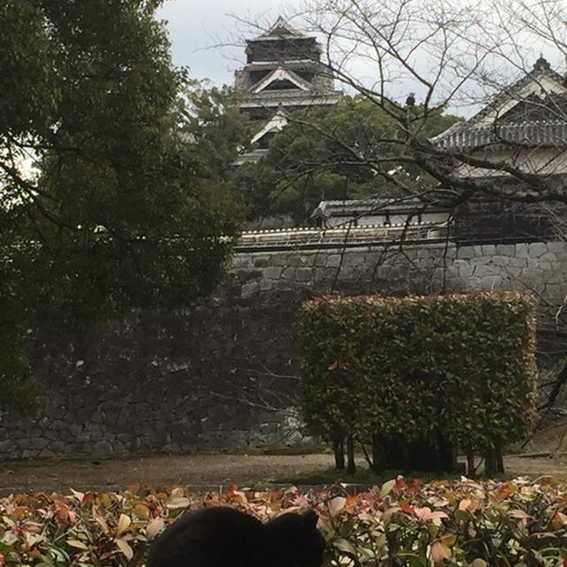 【 九州旅行〜熊本市内、熊本城！　】