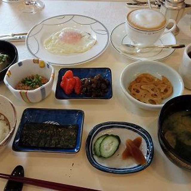 ぱしふぃっく びいなす 世界自然遺産 小笠原クルーズ【下船の日】