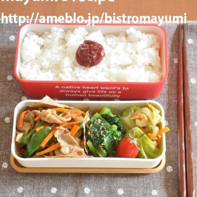 ”お弁当おかずにもピッタリ！ストックおかずを使って詰めるだけ弁当”