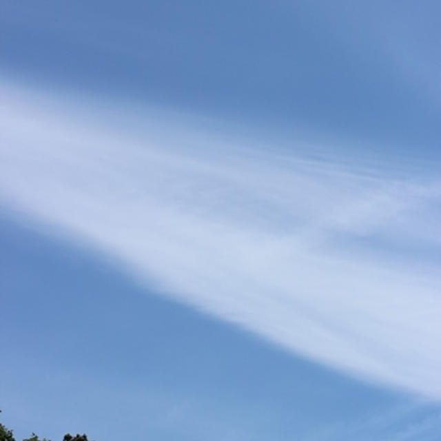 今日はね・・・♪