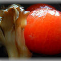トマトとエリンギのマリネ～加賀太きゅうりもあるよ！
