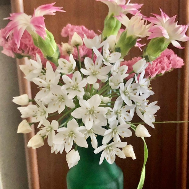 花のある生活がワンコインから楽しめる　Bloomee LIFE　ポストに花が届く花の定期便