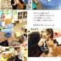 ■モテた一瞬…■ネコカフェ物語・後編
