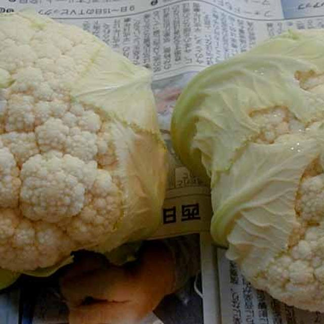 カリフラワーできていたぁ！！！