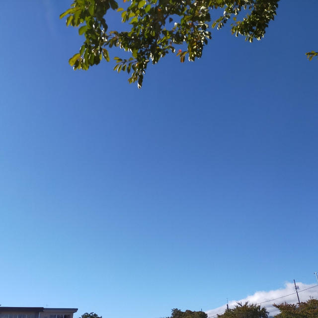 今日は運動会出来そうです＼(^o^)／