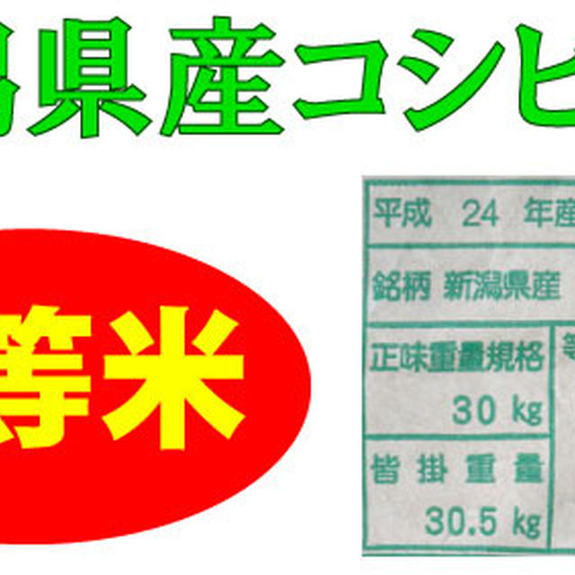 送料無料★じゃがいも４ｋｇ＋新潟県産コシヒカリ【白米】１０ｋｇ×１袋