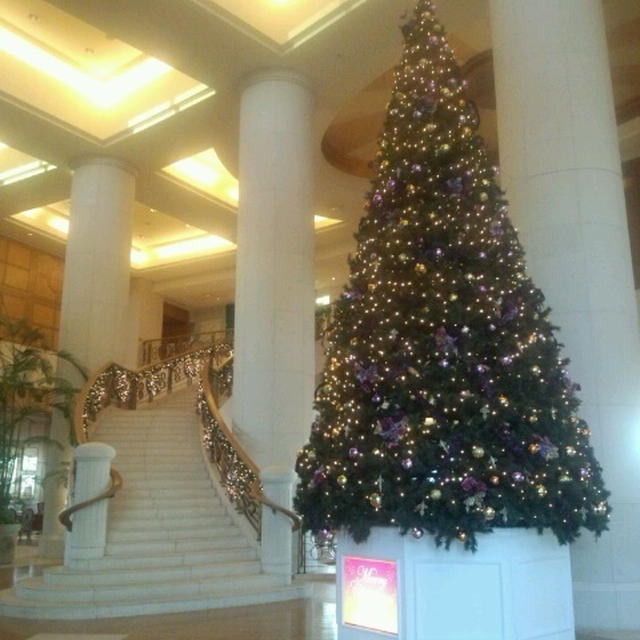 お台場クリスマス♪