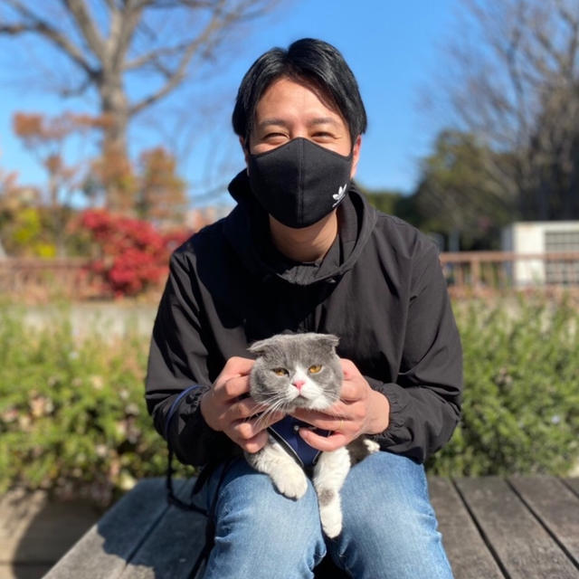 猫散歩
