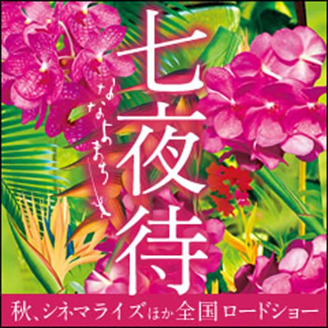 news 「七夜待」×「マフィン」