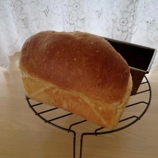 白ごまミニ食パン♪