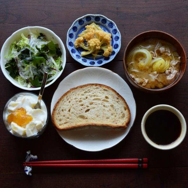 ついに来ました！今朝は　吹いてます。朝ごはんですよ～