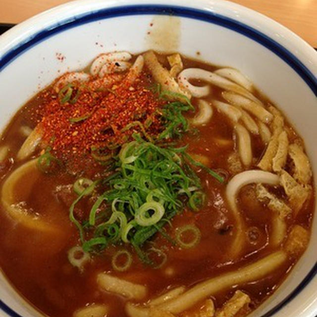 紀ノ川SAで「カレーうどん」