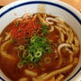 紀ノ川SAで「カレーうどん」