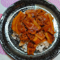 【晩御飯のご提案】魯肉飯(ルーローハン)