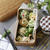 野菜の焼き浸しつゆでカラフルそうめん弁当～Colorful Somen bento