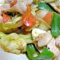 ソース味の肉野菜炒め