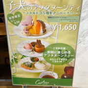 京橋コカルドのアフタヌーンティーに行って来ました