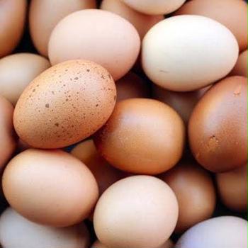 重さに注意！夏の卵は割合が変わる！