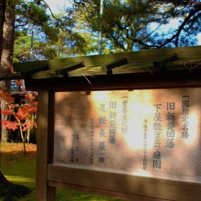 清水園（旧新発田藩下屋敷大名庭園）の紅葉