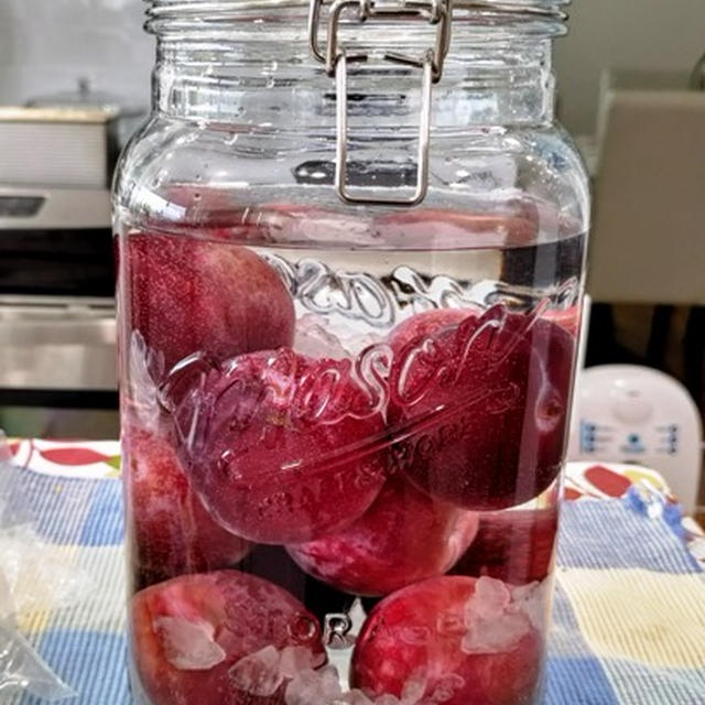 ギフト用にプラム酒を作りました  ～ 鶏肉の味噌漬け