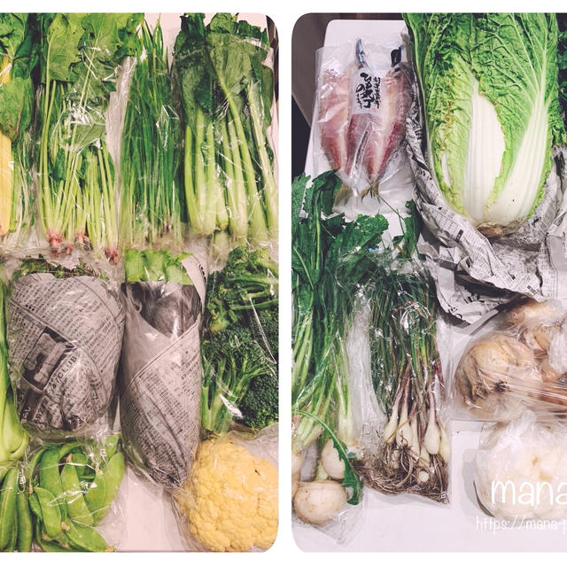 【むかし野菜の邑 佐藤自然農園】レタスや生野菜がいっぱい！立派な「巻かない白菜」も届きました♪