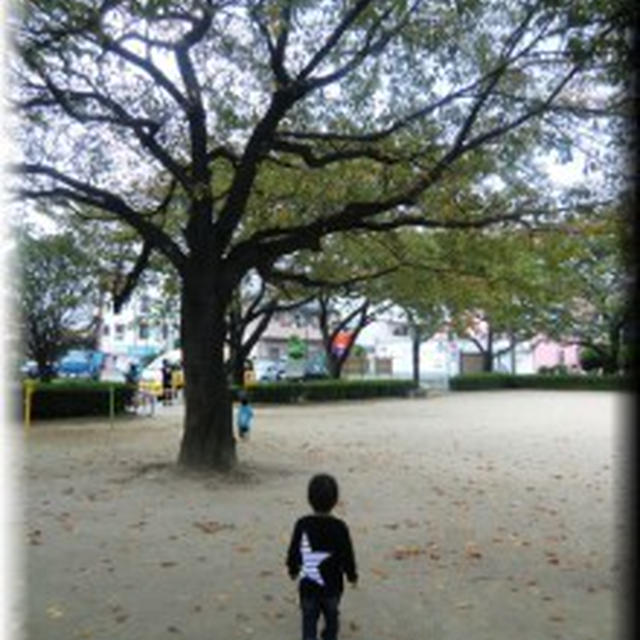 落ち葉の公園☆