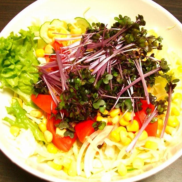 紫キャベツのスプラウトのサラダ By ロビタさん レシピブログ 料理ブログのレシピ満載